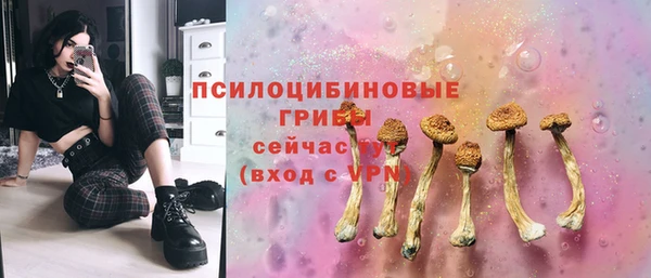 а пвп мука Лабытнанги