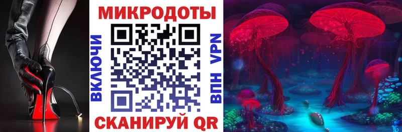ОМГ ОМГ зеркало  Струнино  Псилоцибиновые грибы Cubensis 